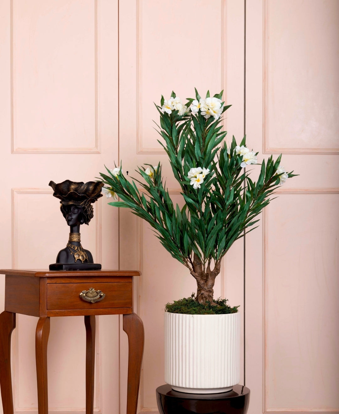 Oleana Charm Mini Bloom Tabletop Plant Without Pot
