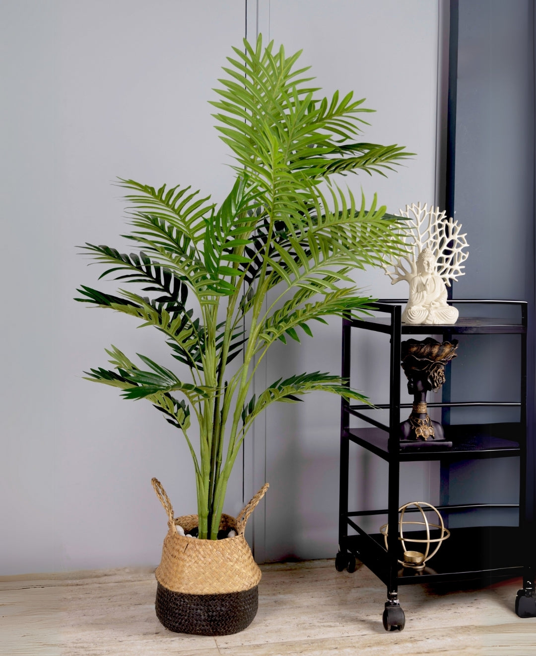 The Cascade Palm Without Pot (Tall)