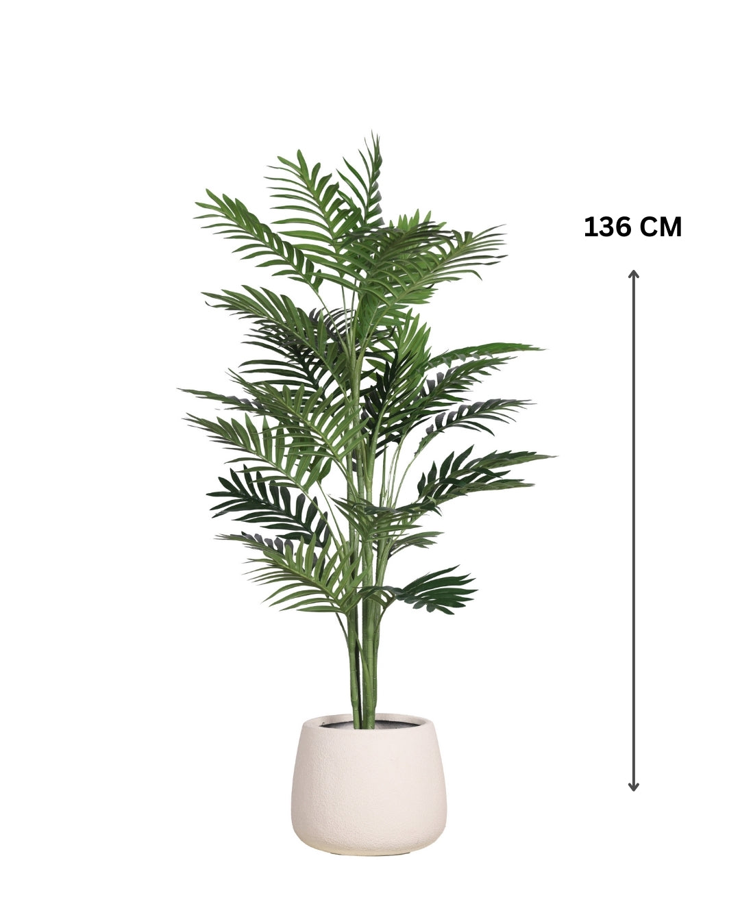 The Cascade Palm Without Pot (Tall)