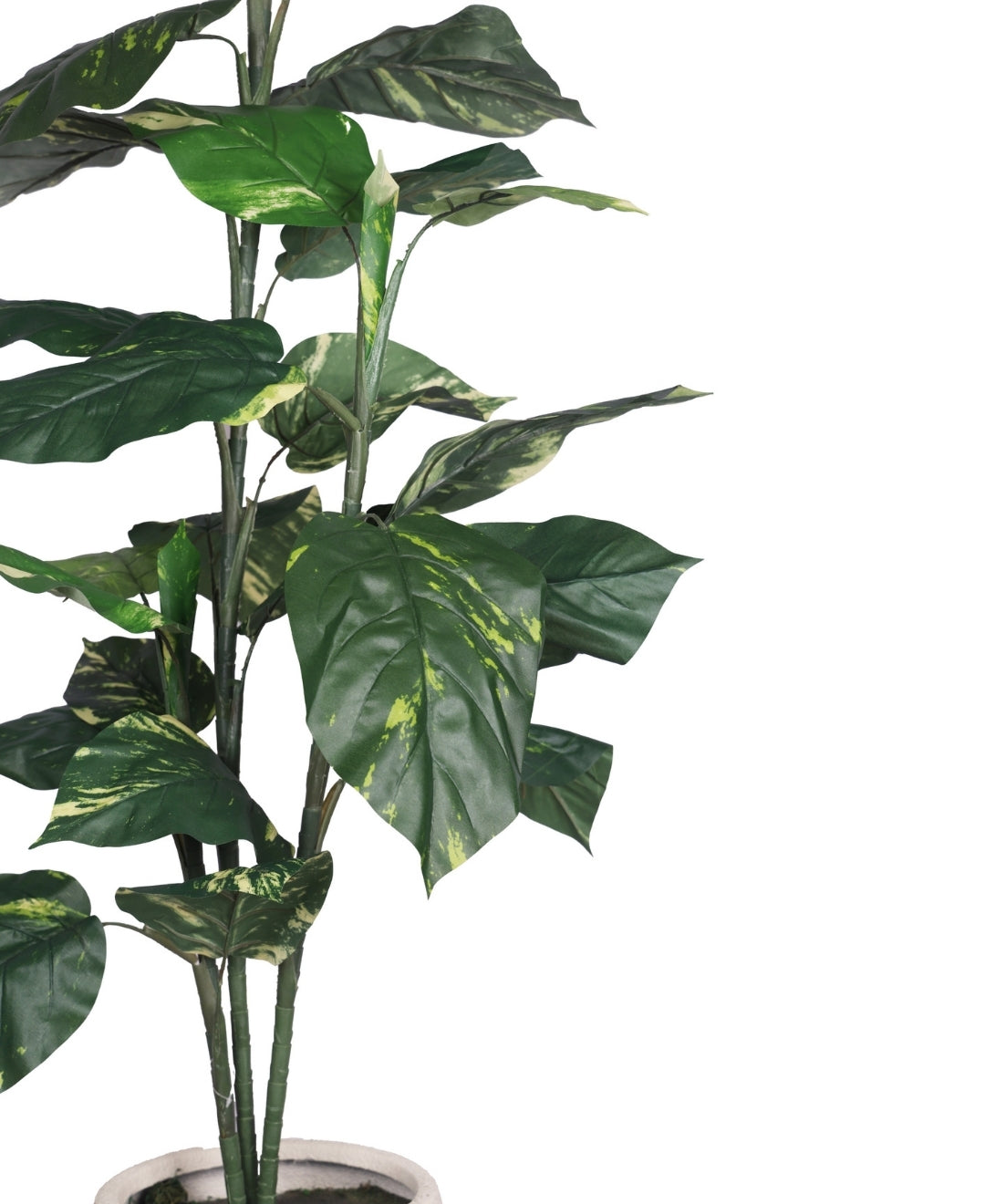 Pollination Artificial Pothos Philo Plant Without Pot (Medium)