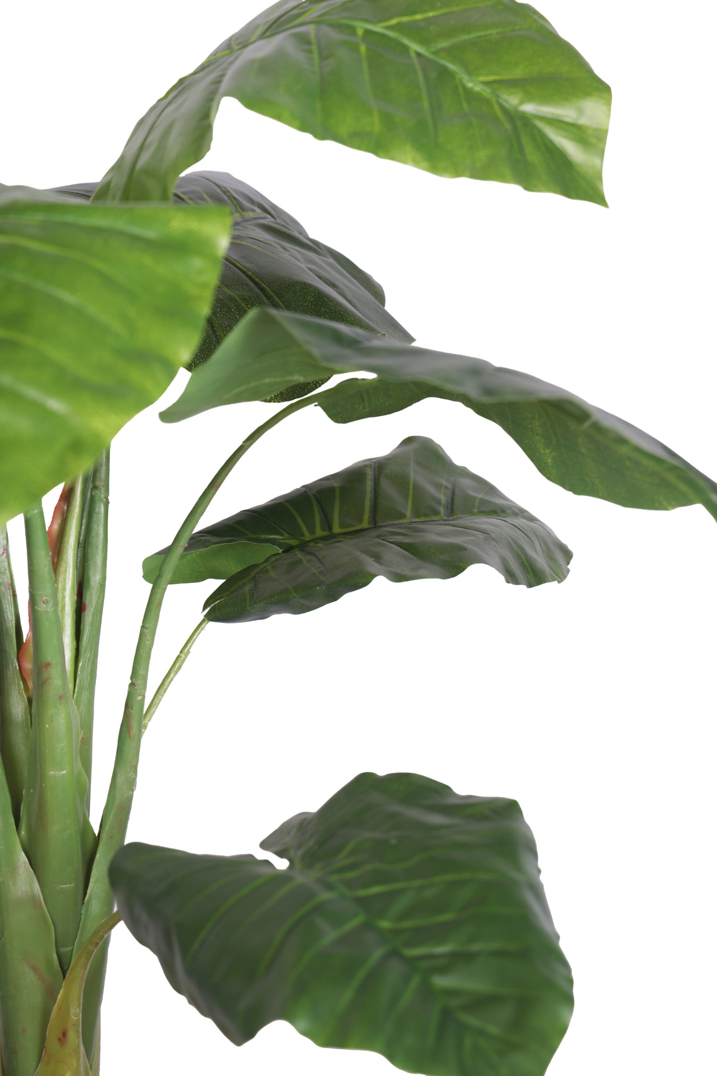 PolliNation Artificial Philodendron Plant without Pot (3 FT)