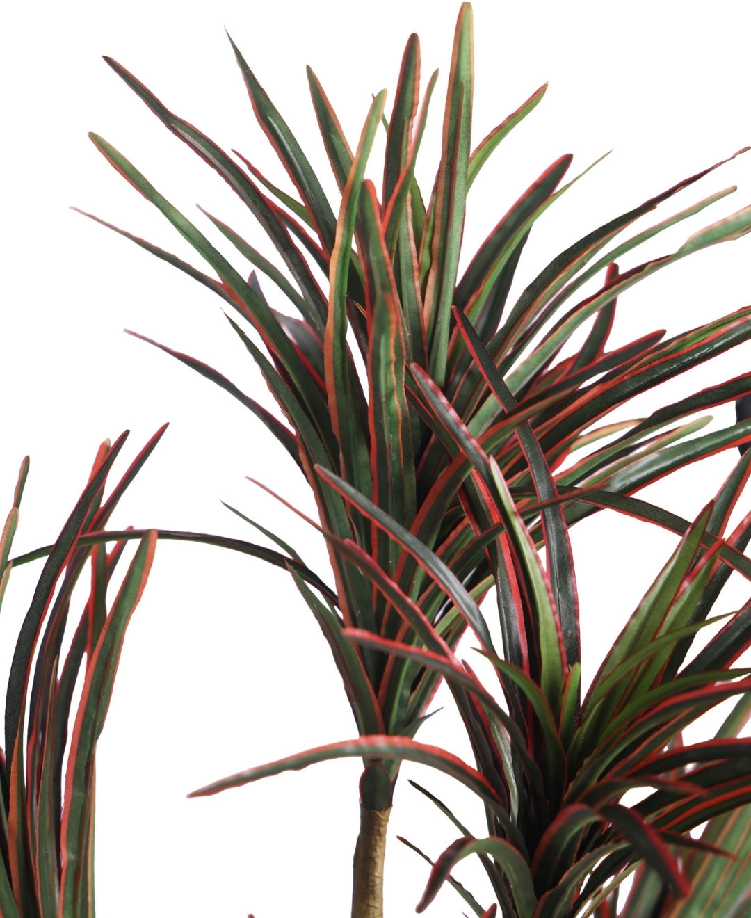 Sleek Artificial Yucca Tabletop Plant Without Pot