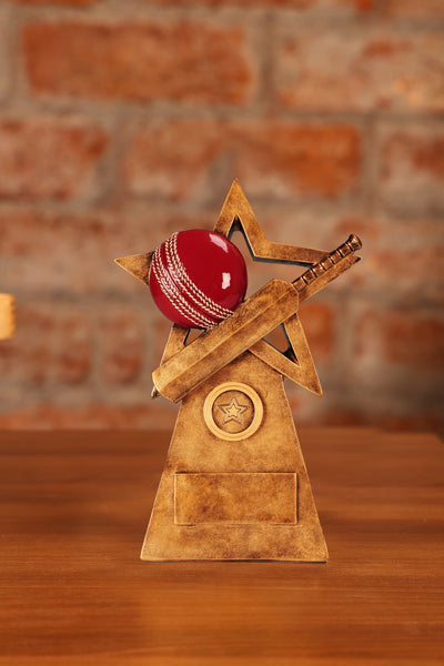 Cricket Ball/Bat on Star and Pyramid showpiece for your home or office Decor