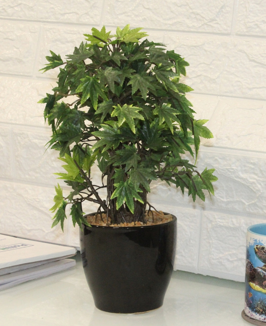 Miniature Charm Multicolor Maple Bonsai With Black Ceramic Pot