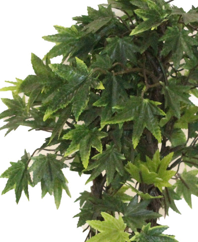 Miniature Charm Multicolor Maple Bonsai With Black Ceramic Pot
