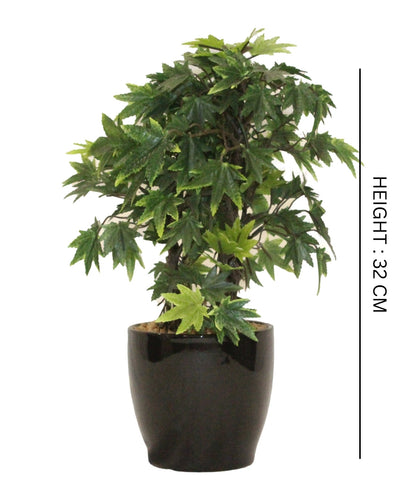 Miniature Charm Multicolor Maple Bonsai With Black Ceramic Pot