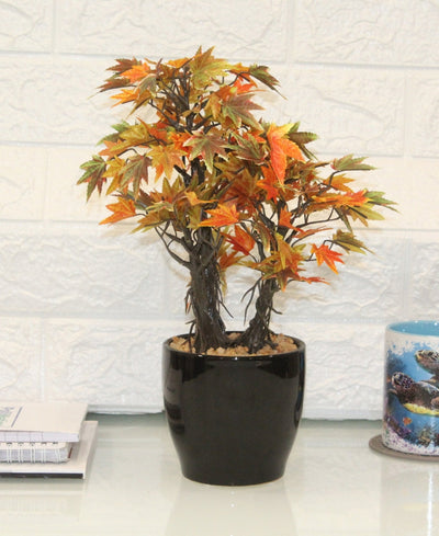 Miniature Charm Multicolor Maple Bonsai With Black Ceramic Pot