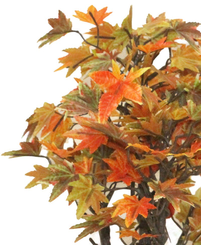 Miniature Charm Multicolor Maple Bonsai With Black Ceramic Pot