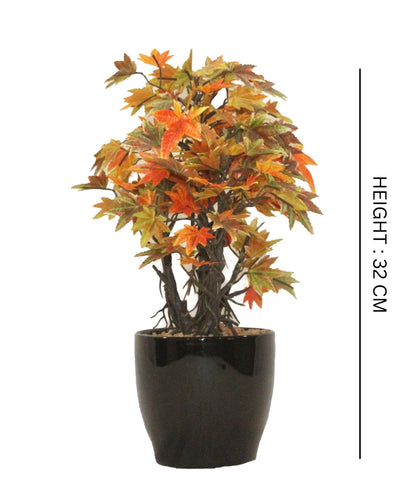 Miniature Charm Multicolor Maple Bonsai With Black Ceramic Pot