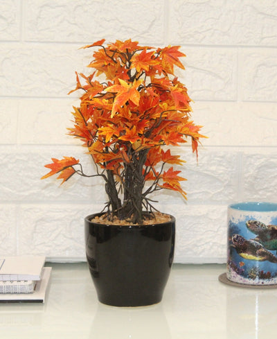Miniature Charm Multicolor Maple Bonsai With Black Ceramic Pot