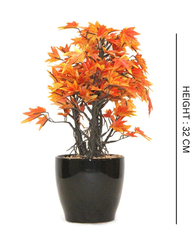 Miniature Charm Multicolor Maple Bonsai With Black Ceramic Pot