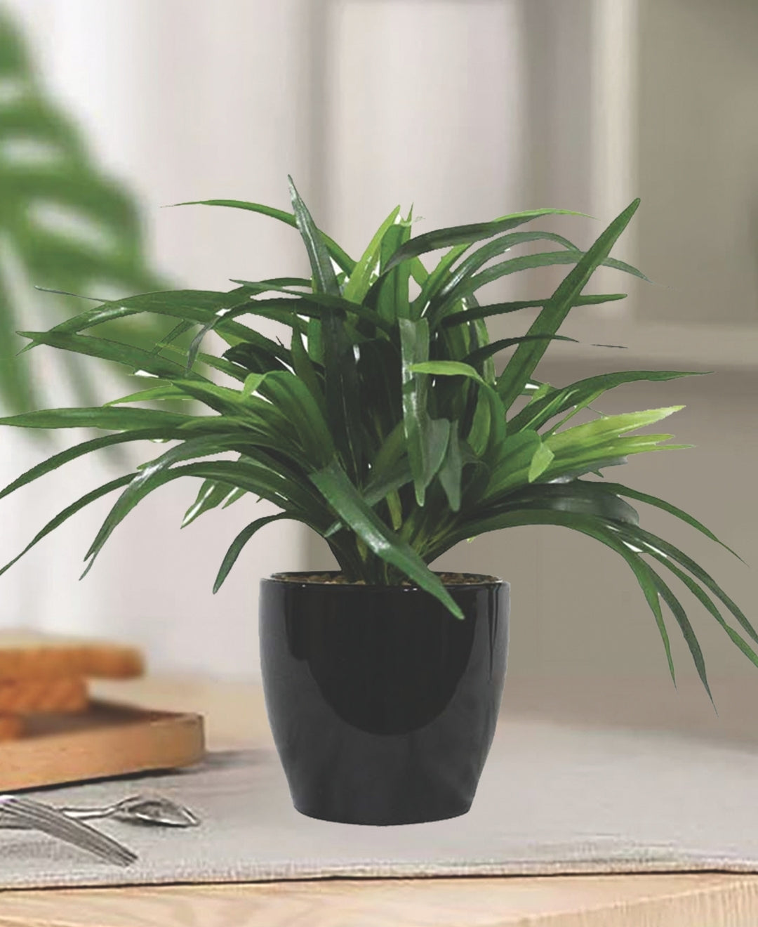 Timeless Classics-Sturdy Dracaena Bonsai In Black Ceramic Pot