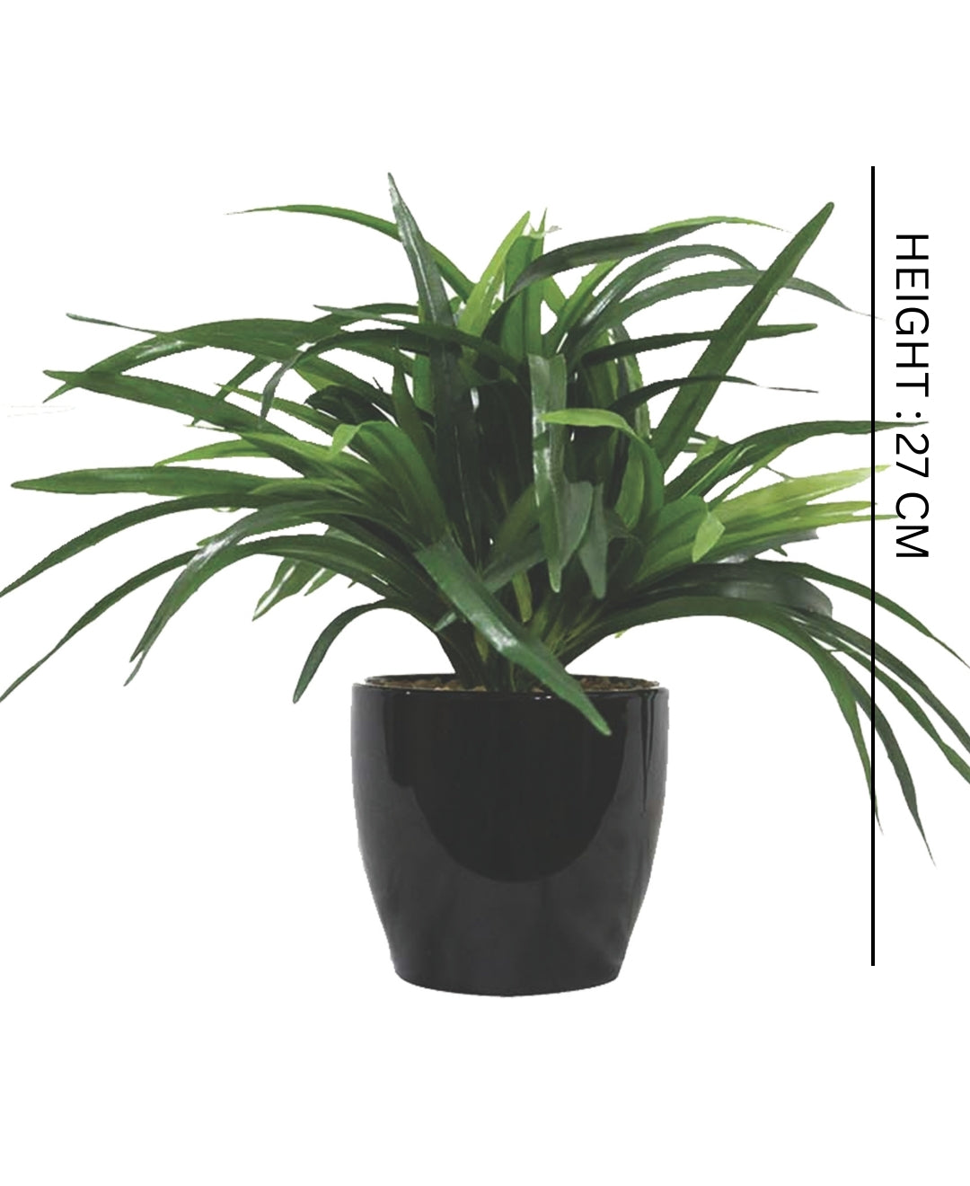 Timeless Classics-Sturdy Dracaena Bonsai In Black Ceramic Pot