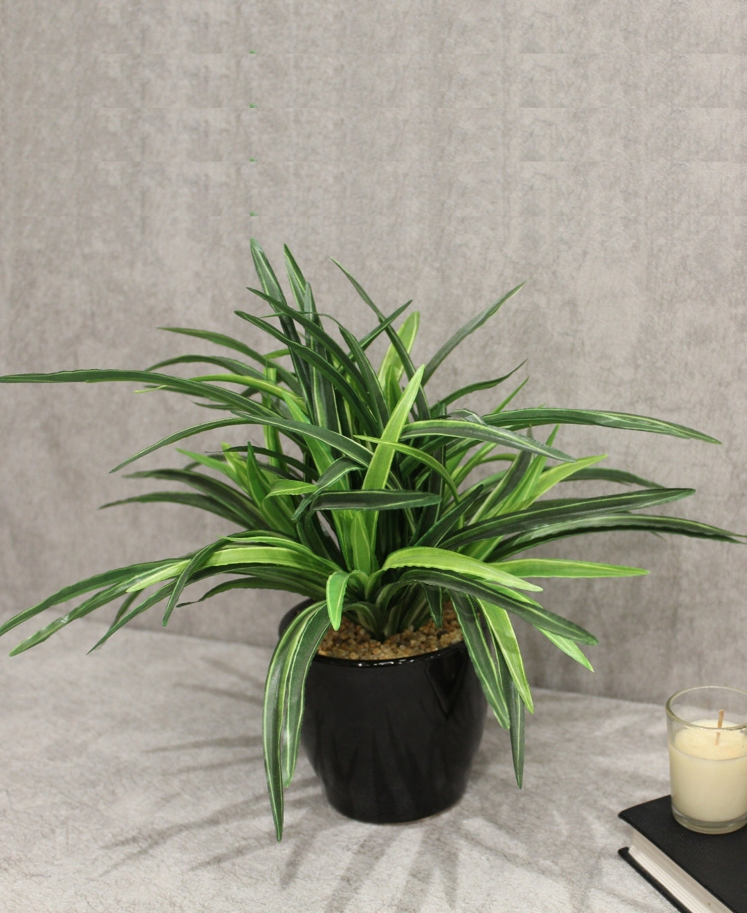 Timeless Classics-Sturdy Dracaena Bonsai In Black Ceramic Pot