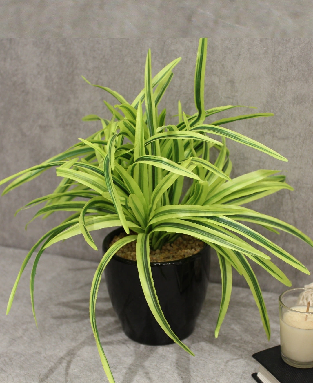 Timeless Classics-Sturdy Dracaena Bonsai In Black Ceramic Pot