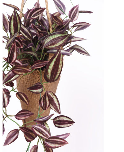 Hanging Maple Creeper In Jute Bag Elegance That Elevates Your Space