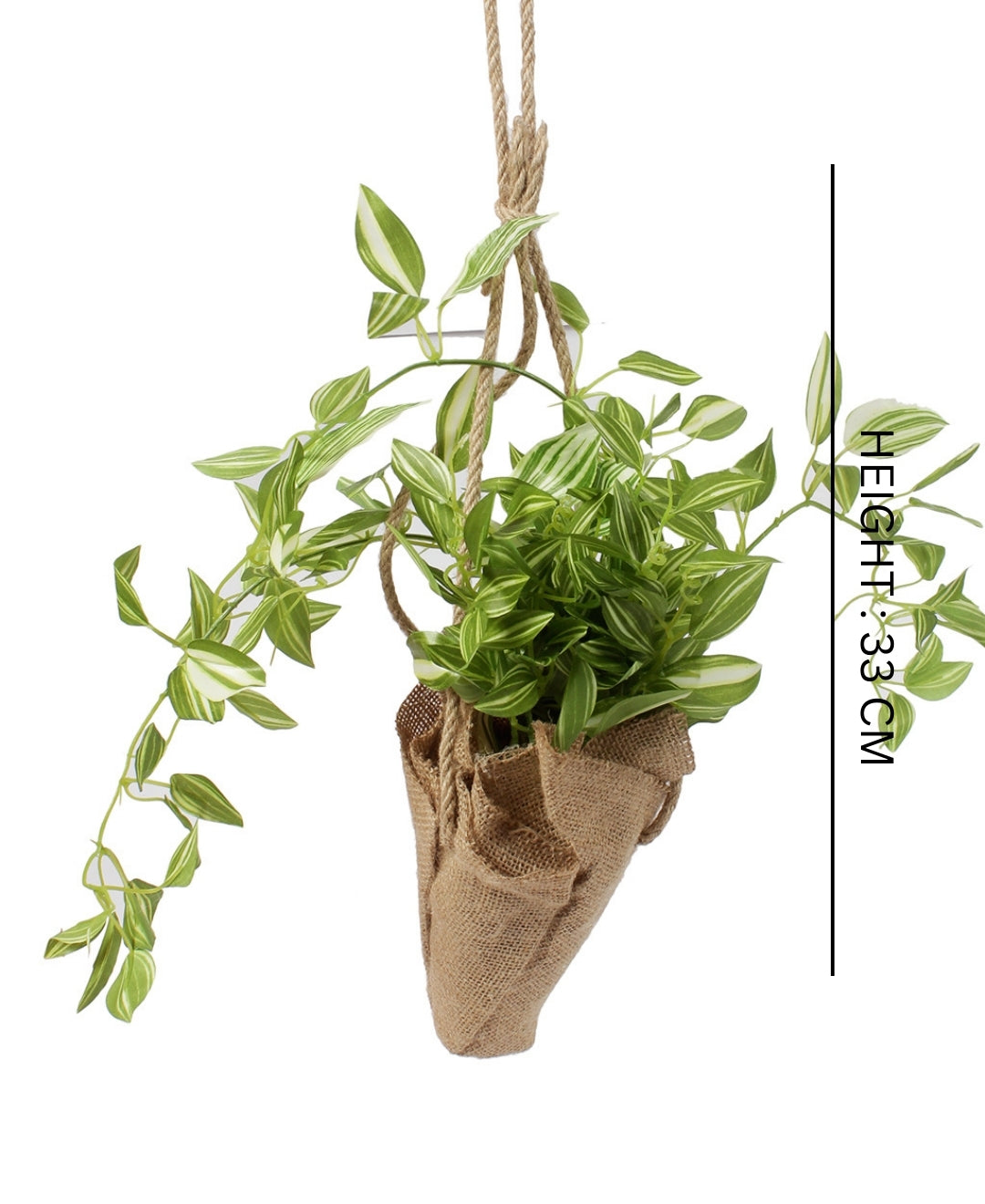 Hanging Maple Creeper In Jute Bag Elegance That Elevates Your Space