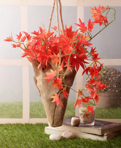 Hanging Maple Creeper In Jute Bag Elegance That Elevates Your Space