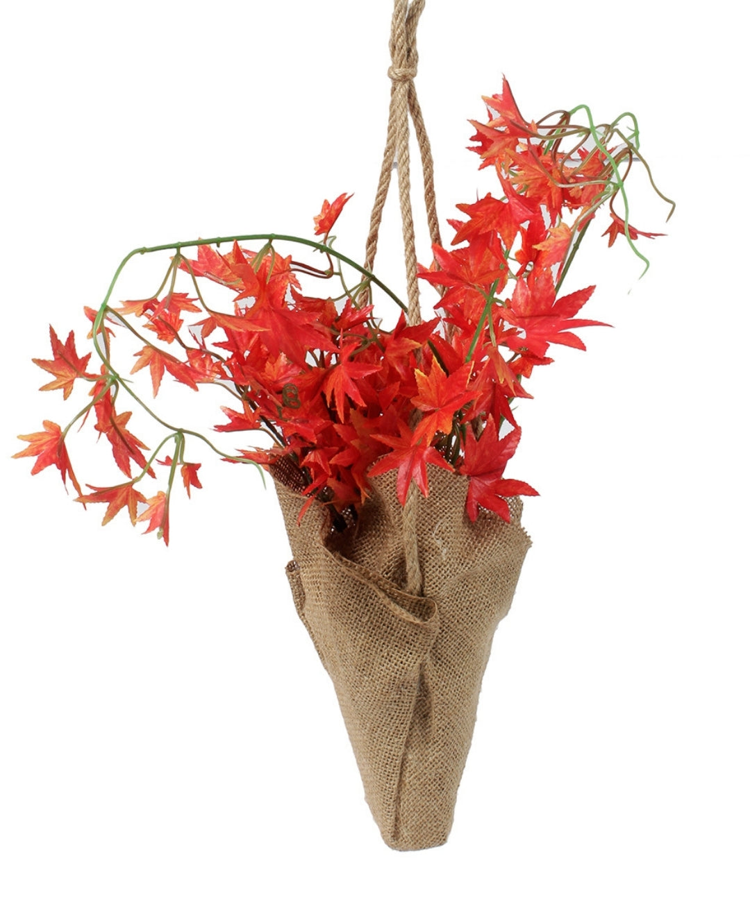 Hanging Maple Creeper In Jute Bag Elegance That Elevates Your Space