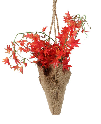 Hanging Maple Creeper In Jute Bag Elegance That Elevates Your Space