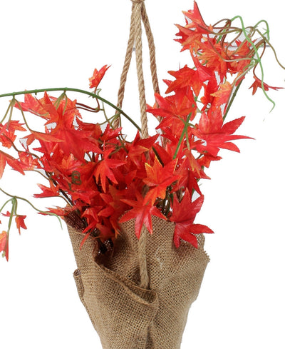 Hanging Maple Creeper In Jute Bag Elegance That Elevates Your Space