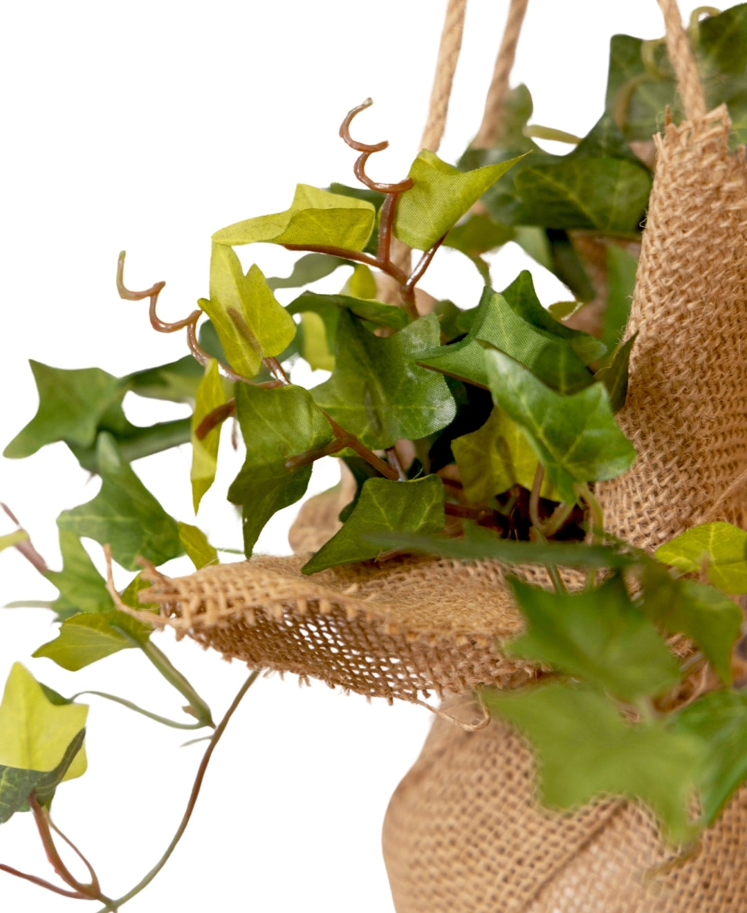 Hanging Ivy Creeper In Jute Bag Elegance That Elevates Your Space
