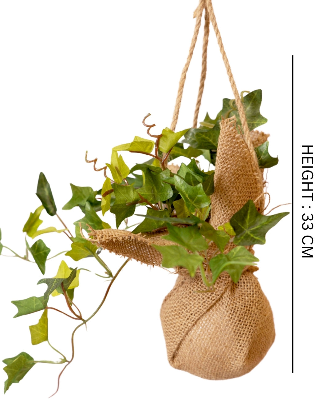 Hanging Ivy Creeper In Jute Bag Elegance That Elevates Your Space