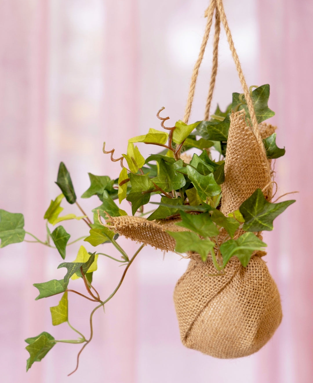 Hanging Ivy Creeper In Jute Bag Elegance That Elevates Your Space