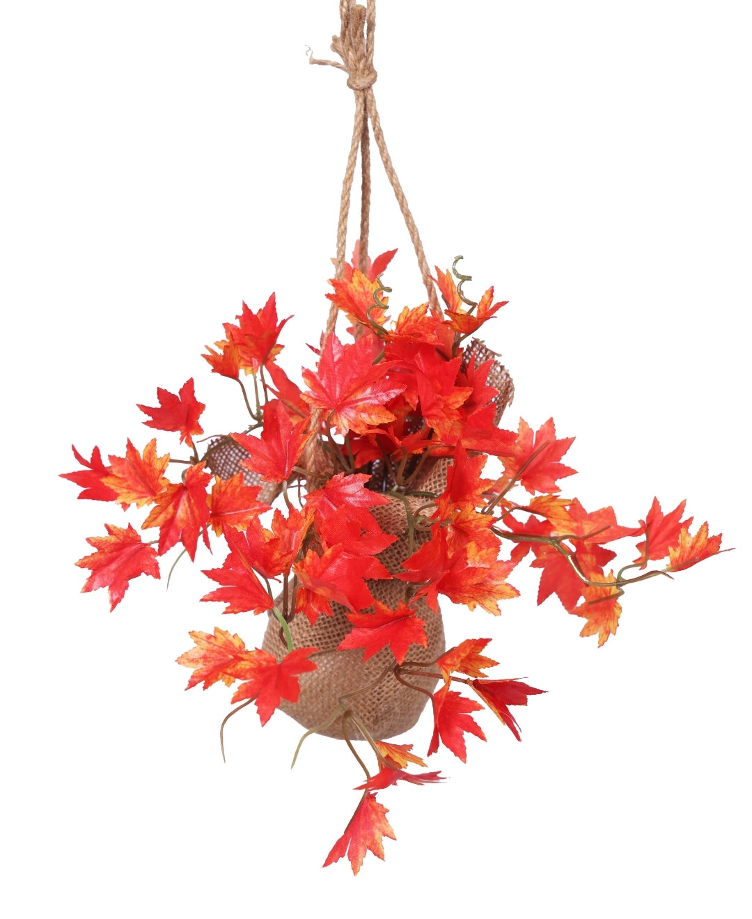 Hanging Ivy Creeper In Jute Bag Elegance That Elevates Your Space