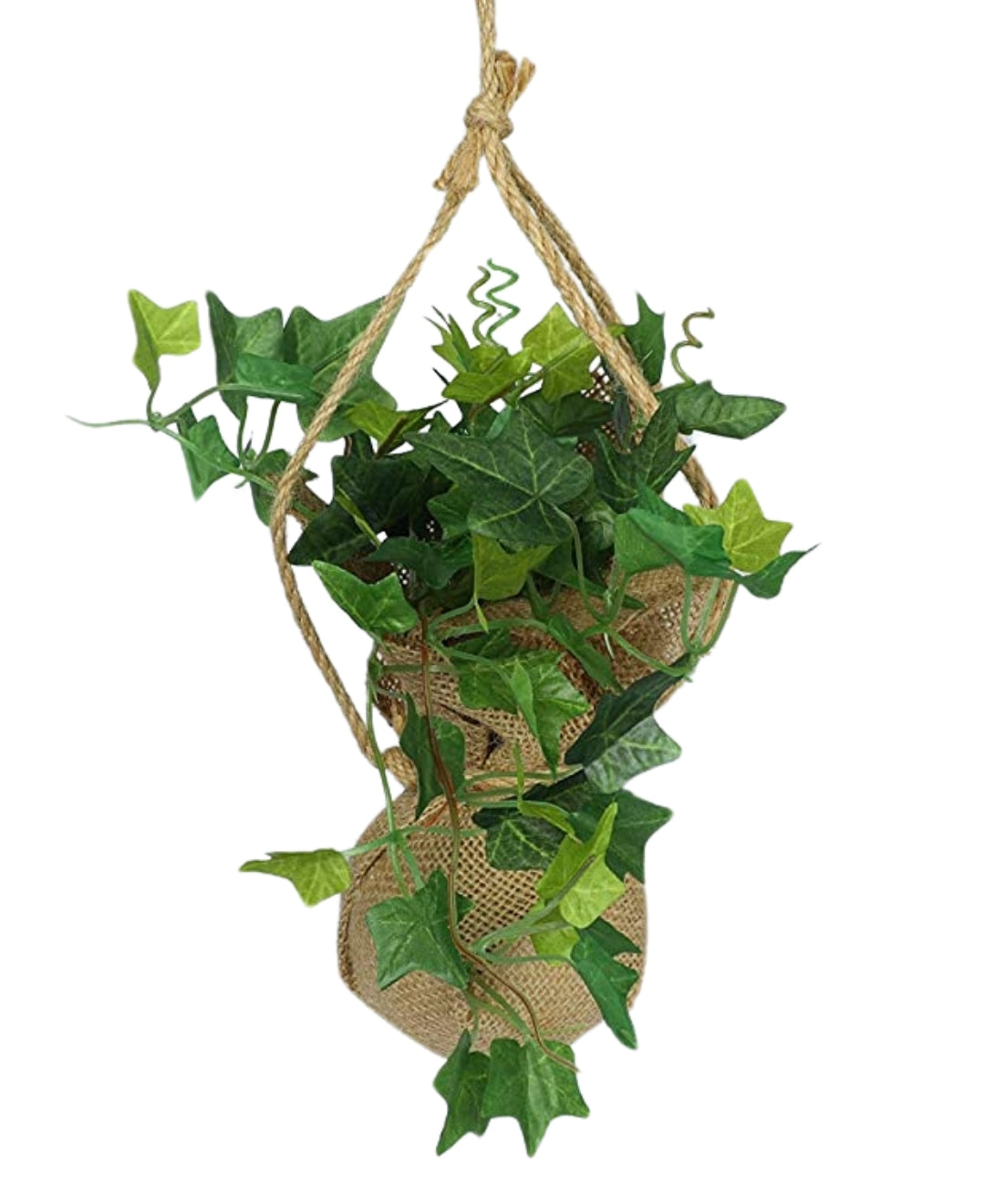 Hanging Ivy Creeper In Jute Bag Elegance That Elevates Your Space