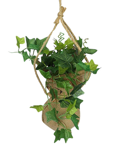 Hanging Ivy Creeper In Jute Bag Elegance That Elevates Your Space