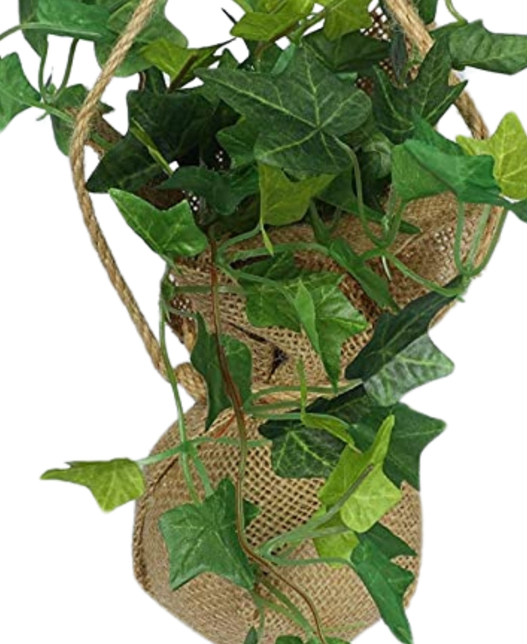 Hanging Ivy Creeper In Jute Bag Elegance That Elevates Your Space