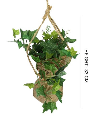 Hanging Ivy Creeper In Jute Bag Elegance That Elevates Your Space
