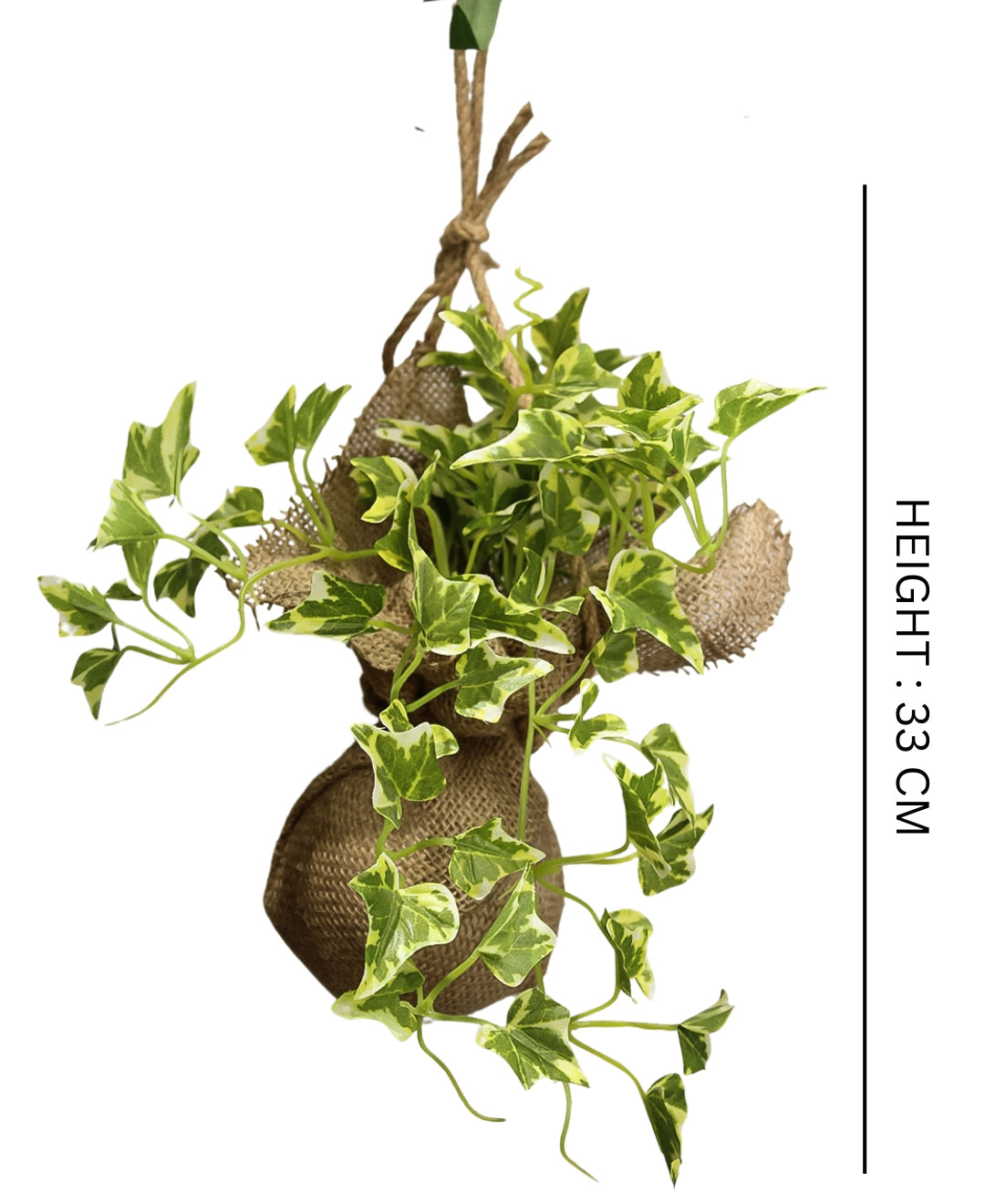 Hanging Ivy Creeper In Jute Bag Elegance That Elevates Your Space