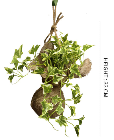 Hanging Ivy Creeper In Jute Bag Elegance That Elevates Your Space