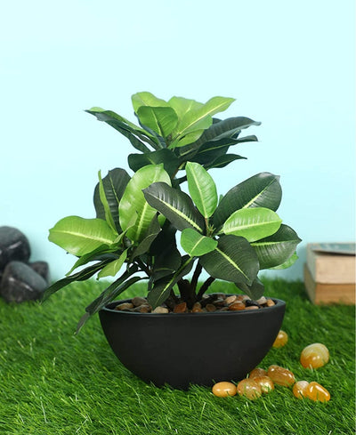 Bonsai Bliss: Artificial Bonsai In Ceramic Pot