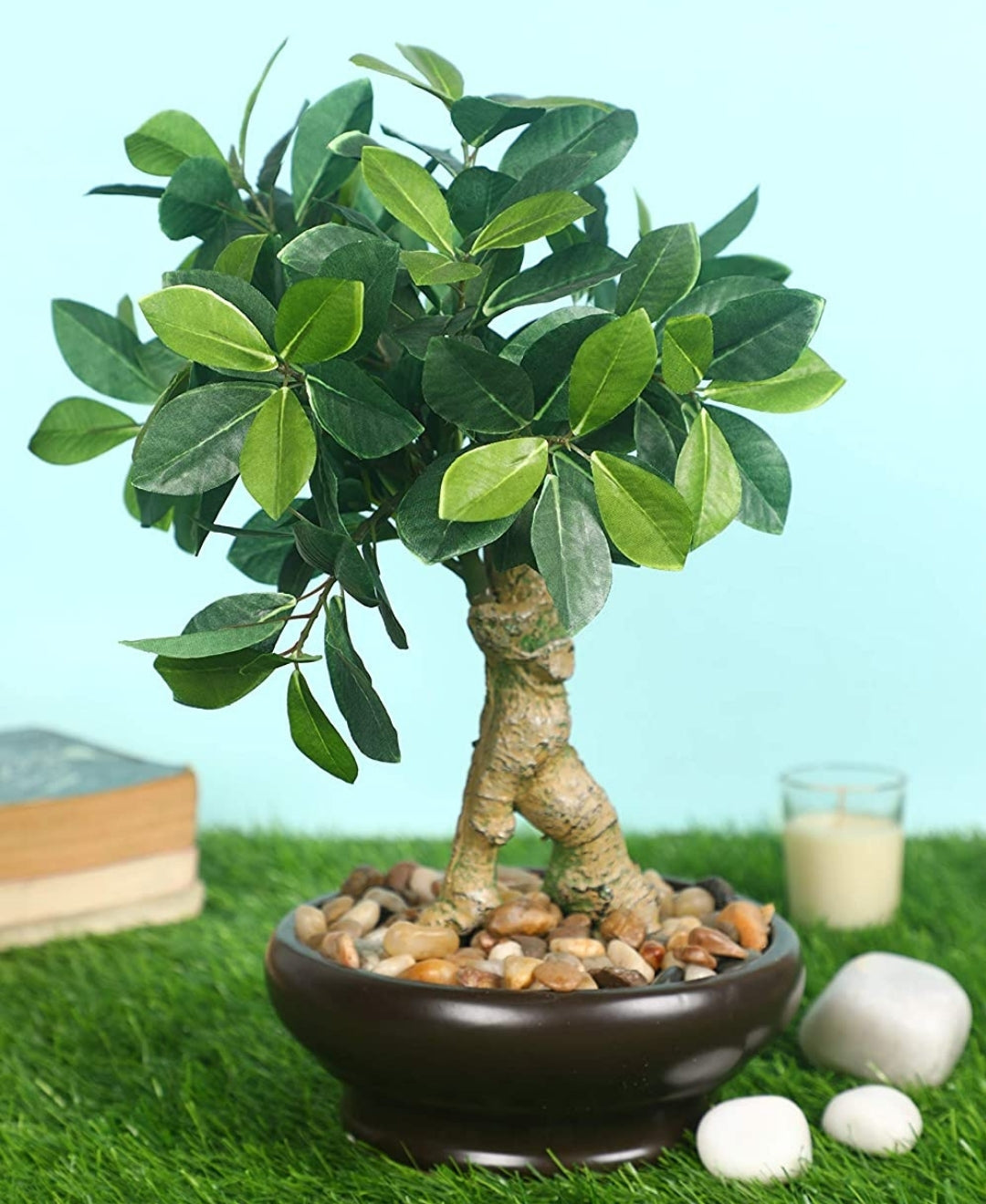 Everleaf Grace -Elegant Bonsai In Ceramic Vase