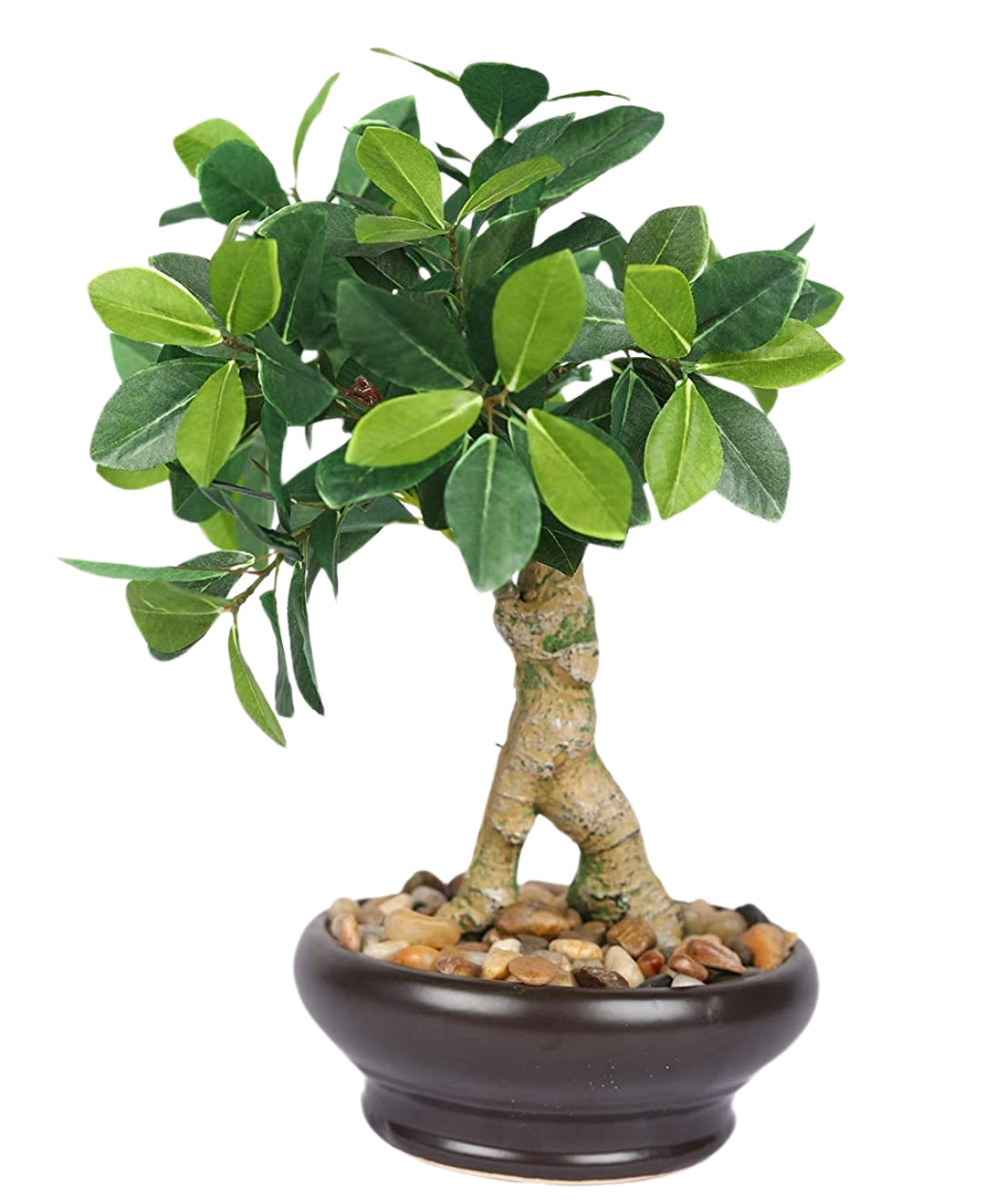 Everleaf Grace -Elegant Bonsai In Ceramic Vase