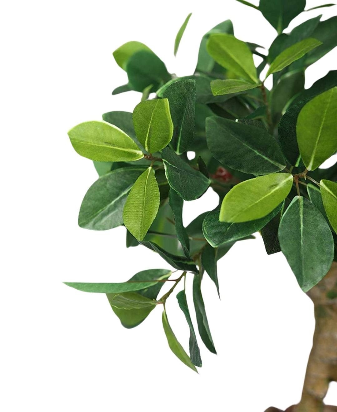 Everleaf Grace -Elegant Bonsai In Ceramic Vase