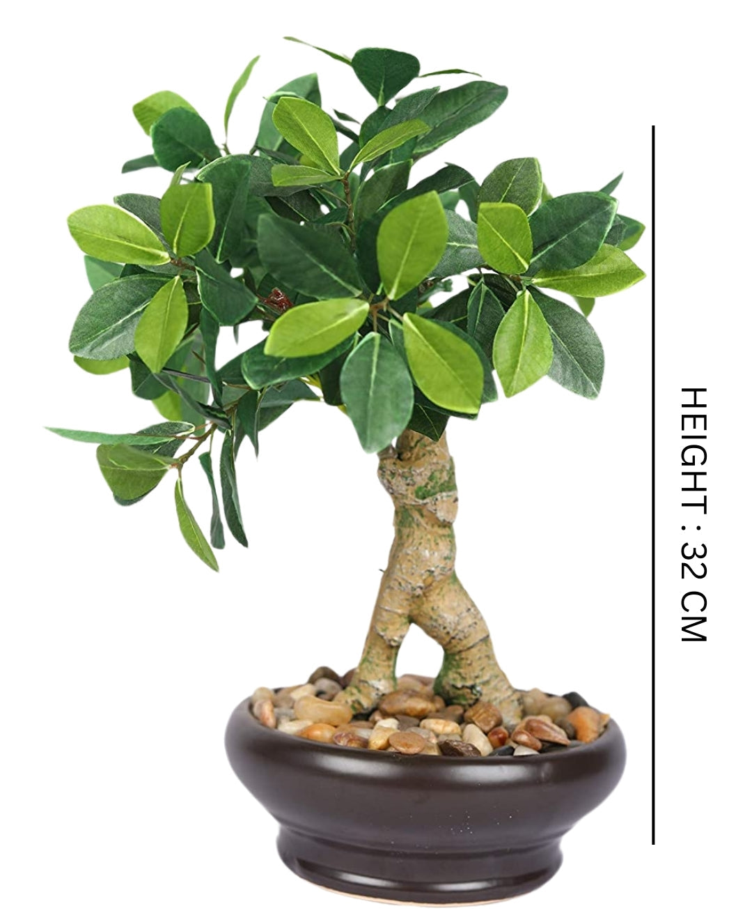 Everleaf Grace -Elegant Bonsai In Ceramic Vase