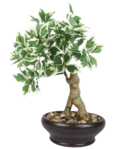 Everleaf Grace -Elegant Bonsai In Ceramic Vase