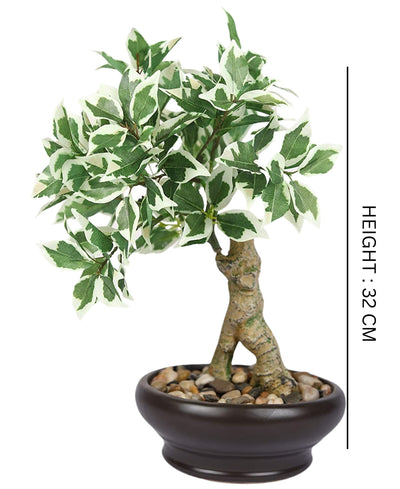 Everleaf Grace -Elegant Bonsai In Ceramic Vase