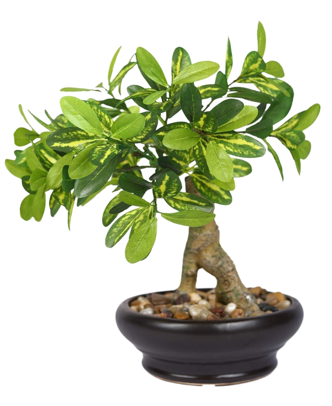 Everleaf Grace -Elegant Bonsai In Ceramic Vase