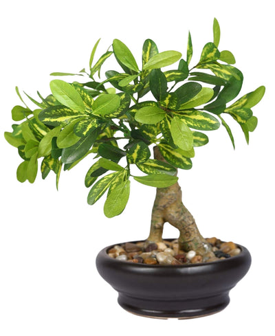 Everleaf Grace -Elegant Bonsai In Ceramic Vase