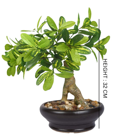Everleaf Grace -Elegant Bonsai In Ceramic Vase