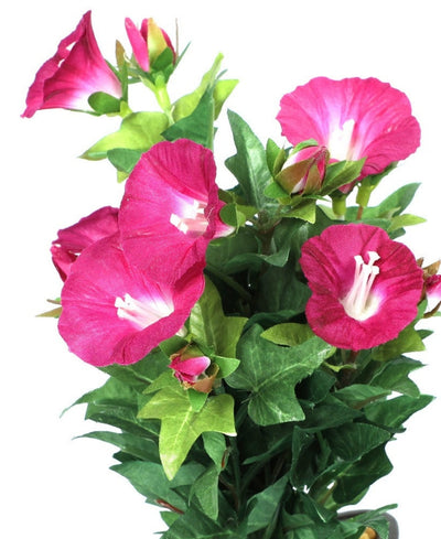 Everlasting Elegance Artificial Morning Glory Bonsai In Ceramic Vase