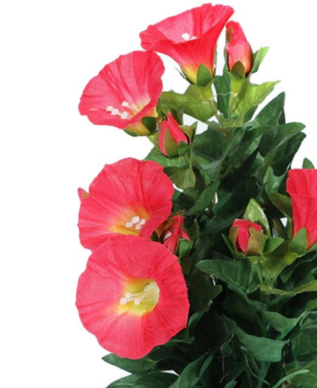 Everlasting Elegance Artificial Morning Glory Bonsai In Ceramic Vase