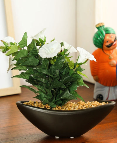 Everlasting Elegance Artificial Morning Glory Bonsai In Ceramic Vase