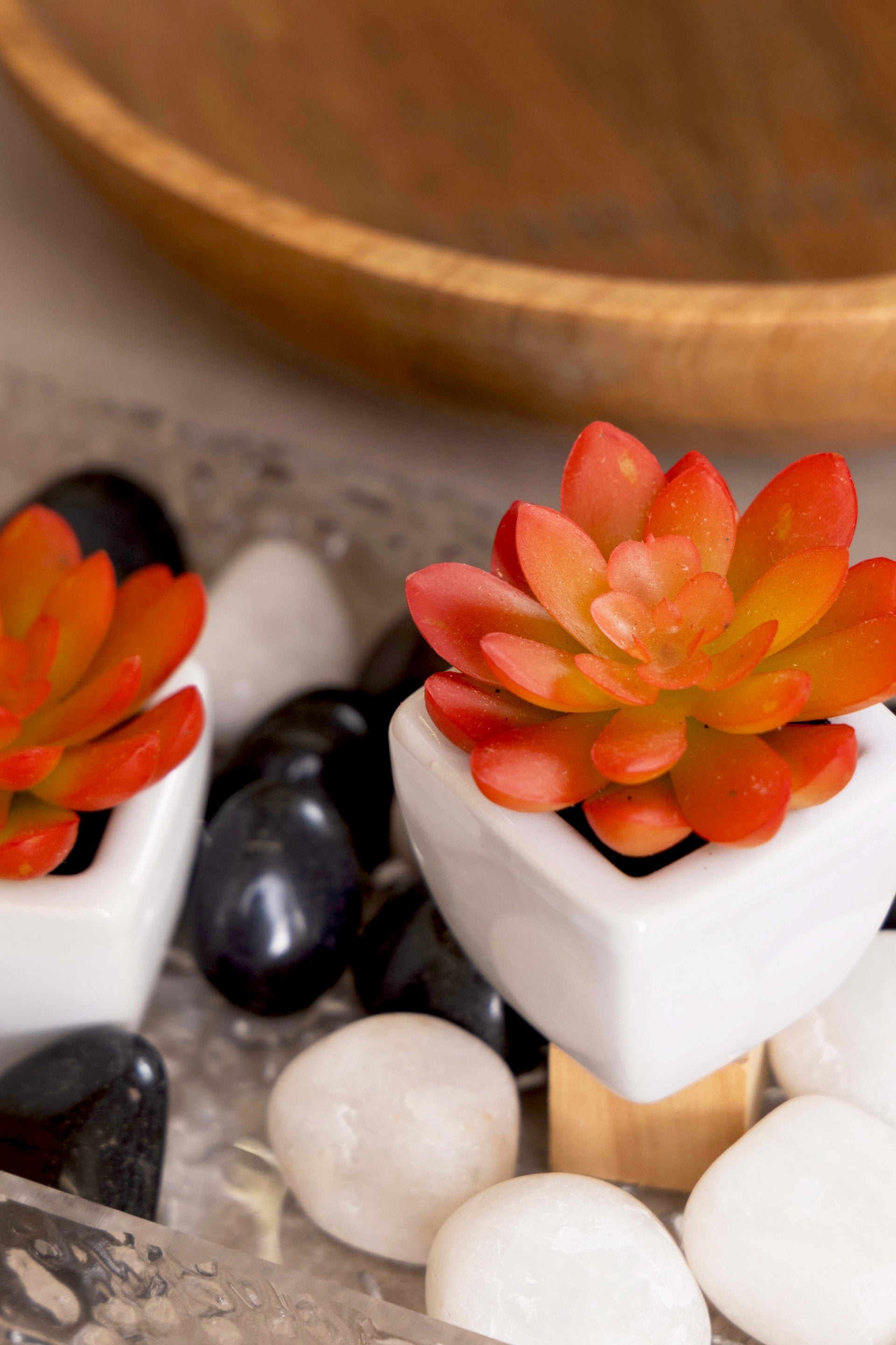 PolliNation Artificial Succulent With Ceramic Pot (Set of 2)