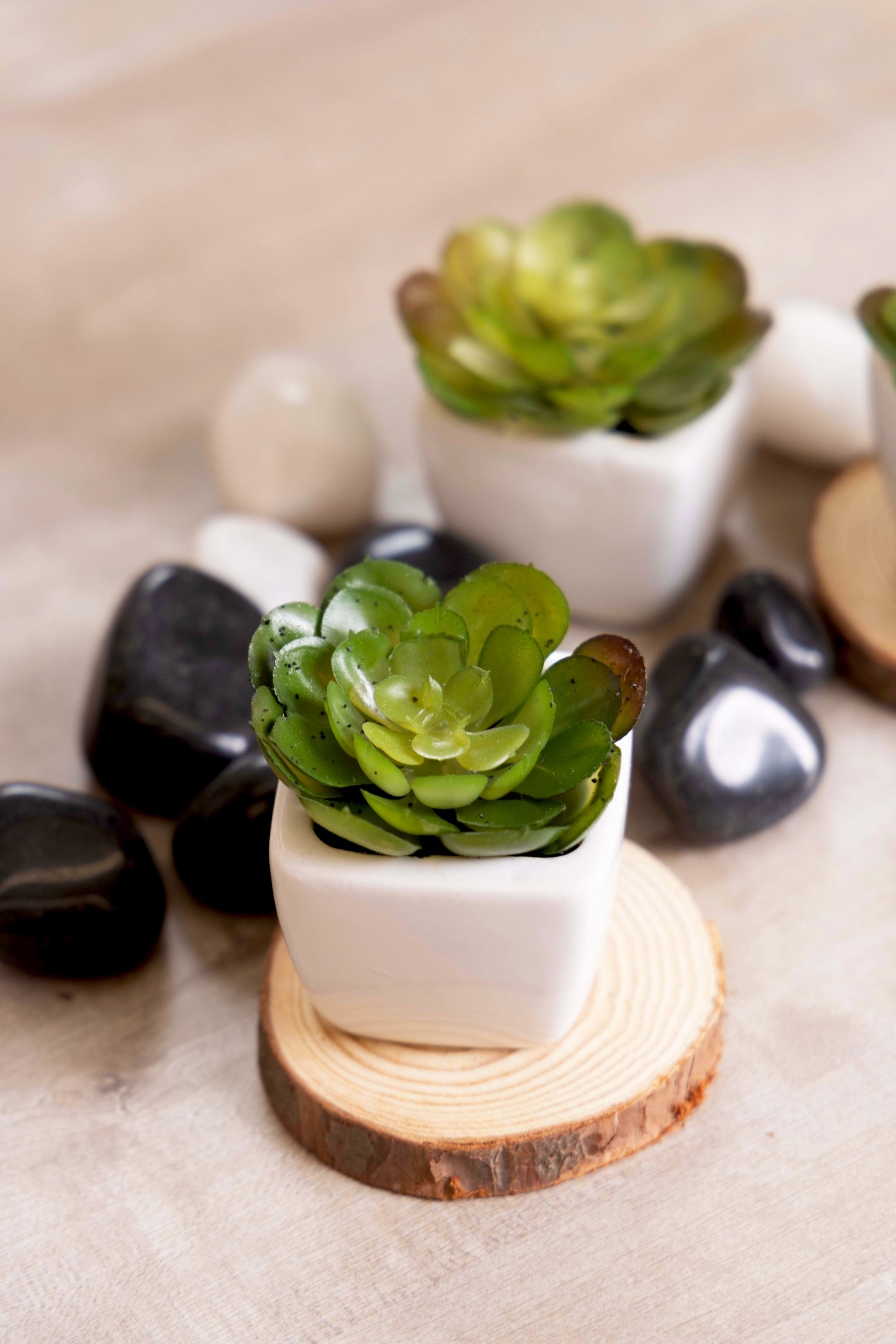 PolliNation Artificial Succulent Bonsai With Ceramic Pot Set of 2 - Green